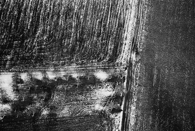 aerial