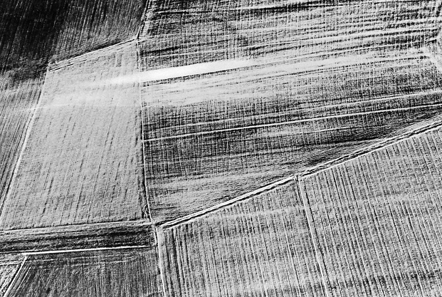 aerial