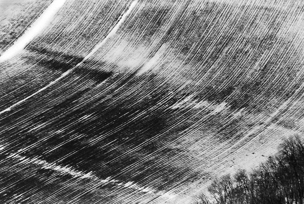 aerial