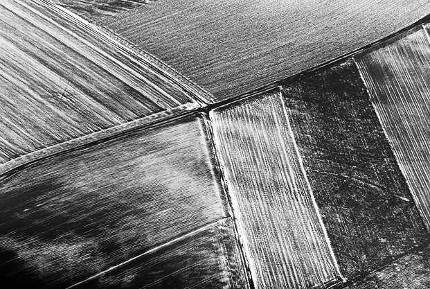 aerial