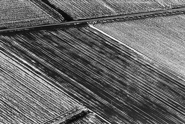 aerial