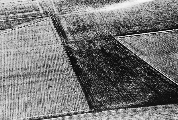 aerial