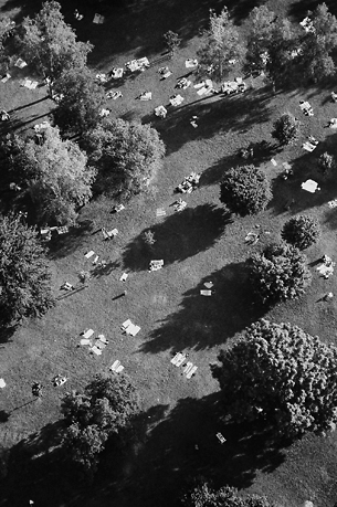 aerial