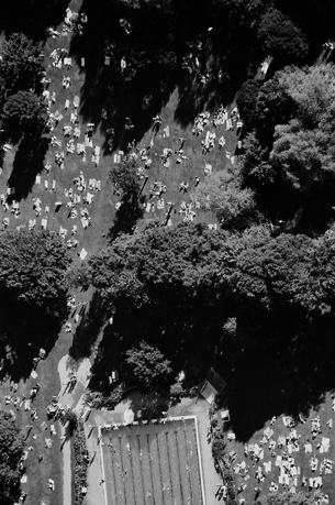 aerial