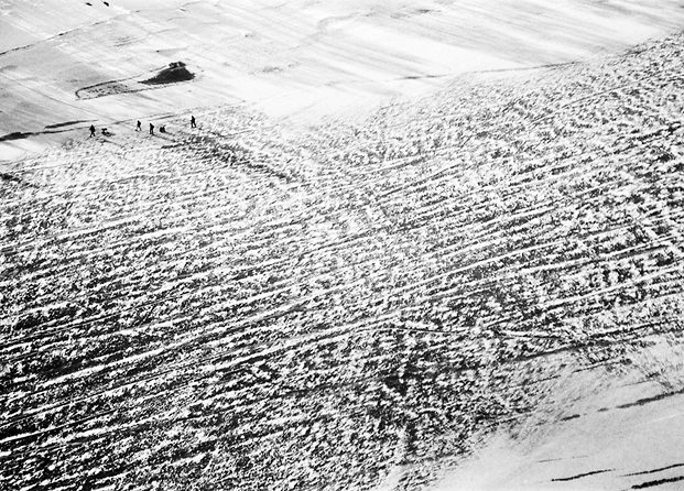 aerial