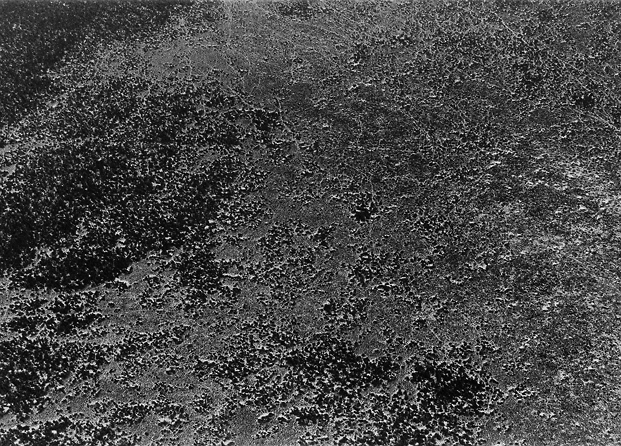 aerial