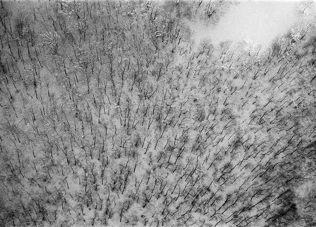 aerial