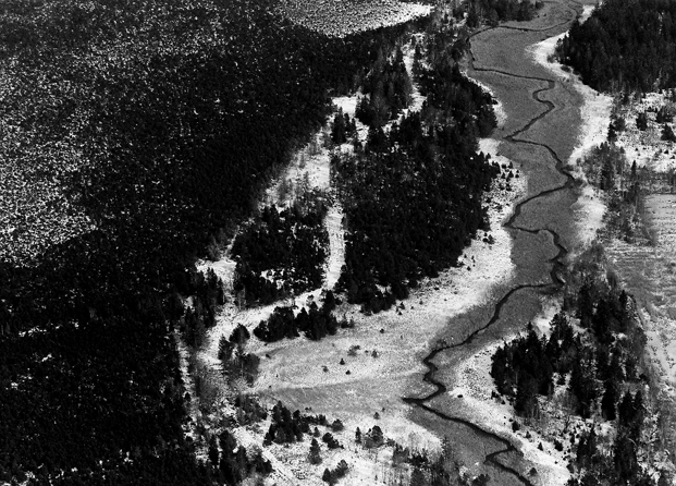 aerial
