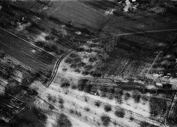 aerial