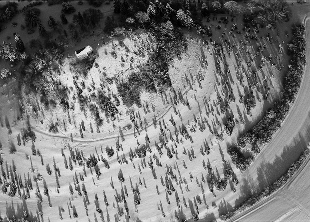 aerial