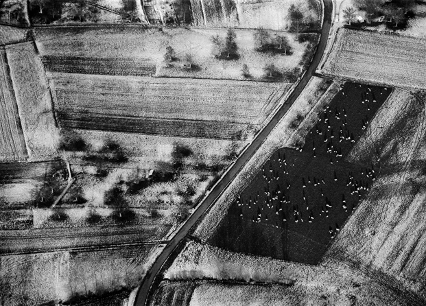 aerial