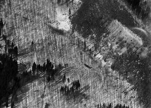 aerial